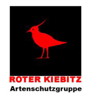 Roter Kiebitz